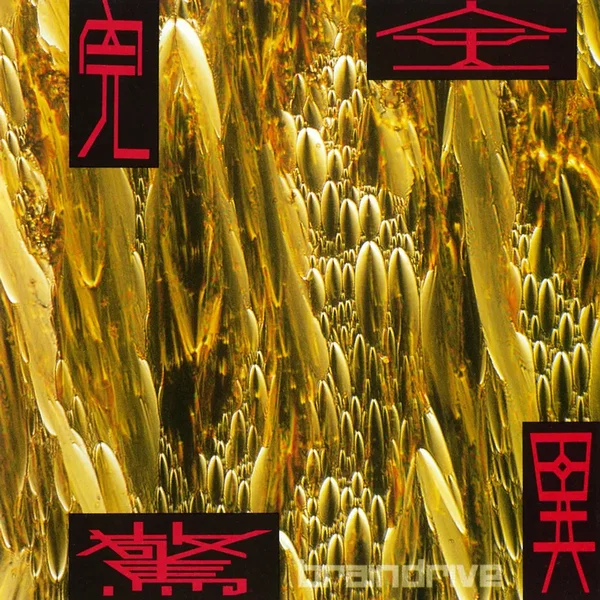 完全驚異