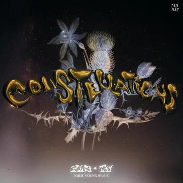 Constellations (Nihil Young remix)