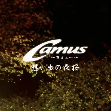 想い出の夜桜