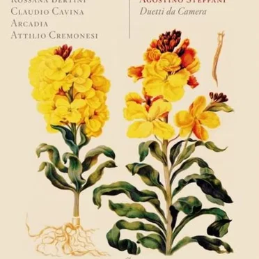 Duetti da camera