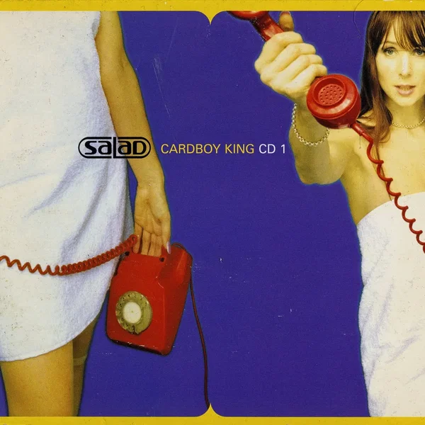 Cardboy King