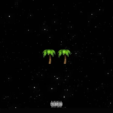 Palmwine Music 2