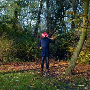 Tonii by Love Over Entropy - album cover