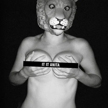 It It Anita by It It Anita - album cover
