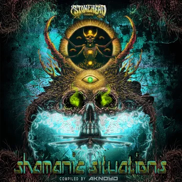 Shamanic Situations by Various Artists - album cover
