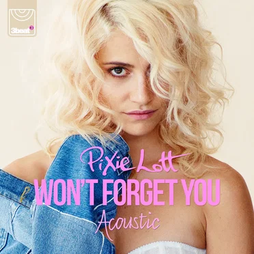 Won’t Forget You (acoustic mix)