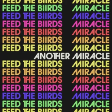 Another Miracle by Feed The Biirds - album cover