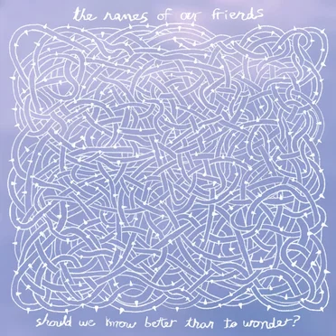 Should We Know Better Than to Wonder? by The Names of Our Friends - album cover