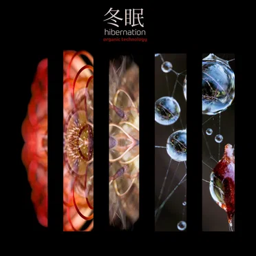 Organic Technology by Hibernation - album cover