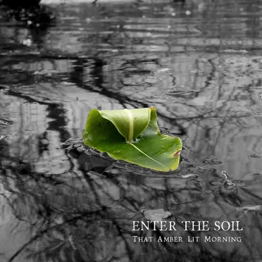 That Amber Lit Morning by Enter the Soil - album cover