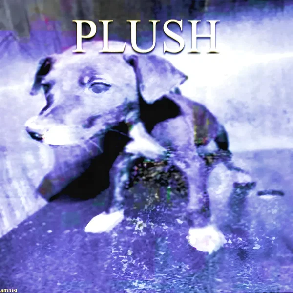 PLUSH