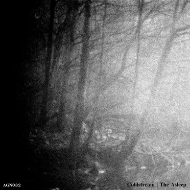 The Asleep by Coldstream - album cover