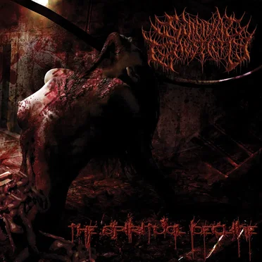 The Spiritual Decline by Suicidal Causticity - album cover