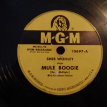 Mule Boogie / Changing Your Name