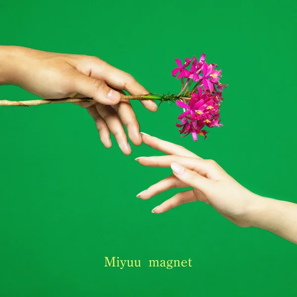 magnet