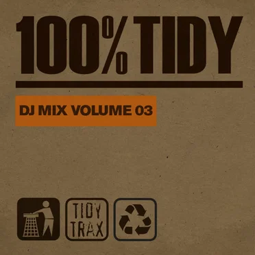 100% Tidy DJ Mix Volume 03 by Various Artists - album cover