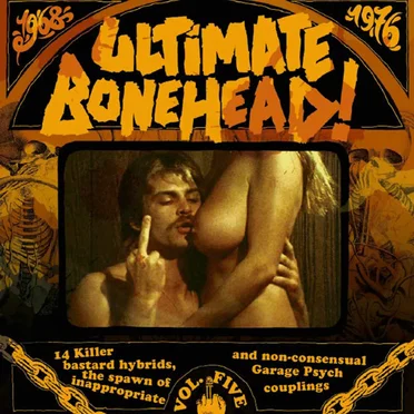 Ultimate Bonehead! Vol. Five by Various Artists - album cover