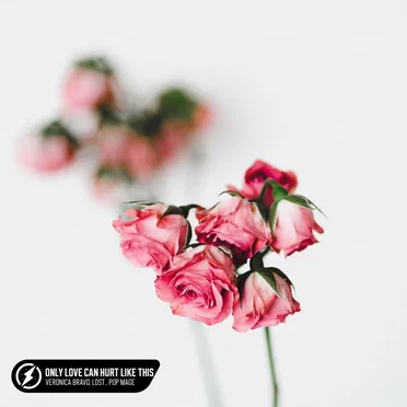 Only Love Can Hurt Like This (acoustic)