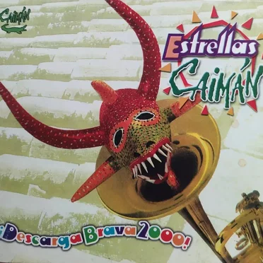 ¡Descarga Brava 2000! by Las Estrallas Cobo - album cover
