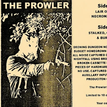 The Prowler by The Prowler - album cover