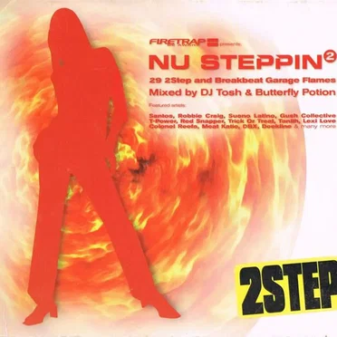 Nu Steppin 2: 29 2step and Breakbeat Garage Flames by Various Artists - album cover