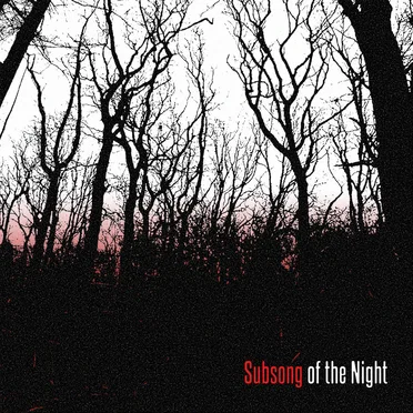 Subsong of the Night