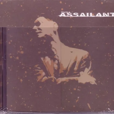 The Assailant
