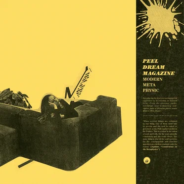 Modern Meta Physic by Peel Dream Magazine - album cover
