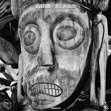 Old Shaman by Vivation - album cover