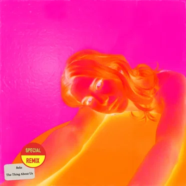 The Thing About Us (remix Pack)