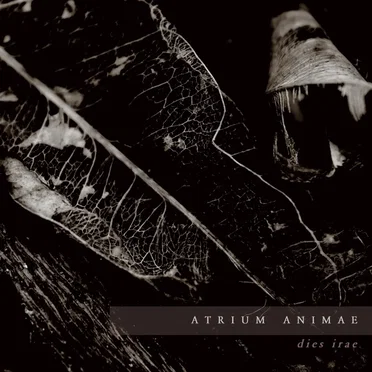 Dies Irae by Atrium Animae - album cover