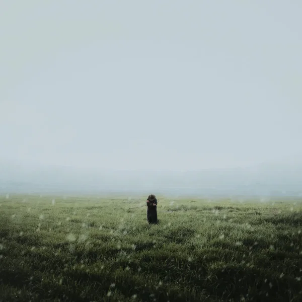Fade Into Memories