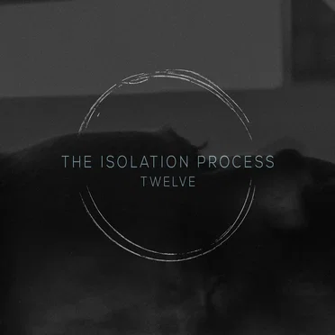 Twelve by The Isolation Process - album cover
