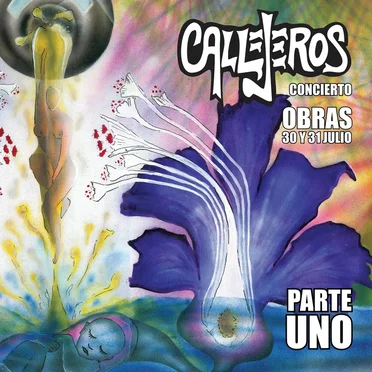 Concierto Obras 30 y 31 julio, parte uno
