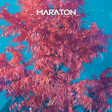 Mosaic by Maraton - album cover