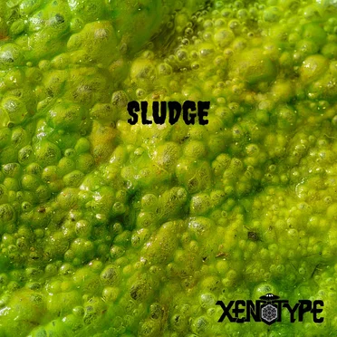 Sludge