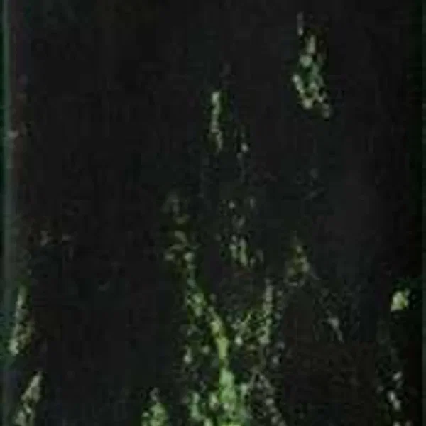 Bosque / Lord of the Abyss