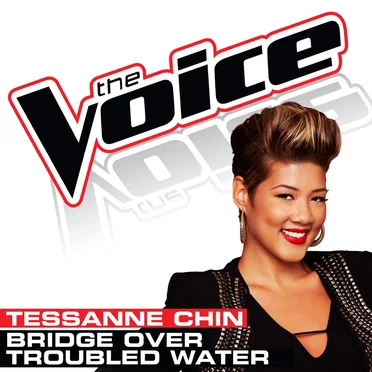 Bridge Over Troubled Water (The Voice Performance)