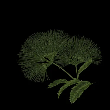 Pathfinder EP by Session Restore - album cover