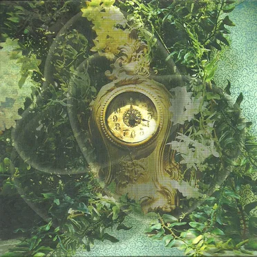 Boy in the Well