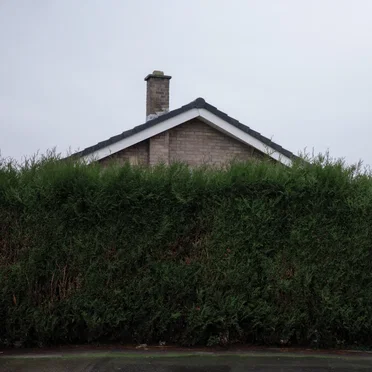 Still… At Their Very Best (Live From The AO Arena, Manchester, 17.02.24)