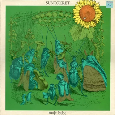 Suncokret