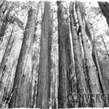 Convergence