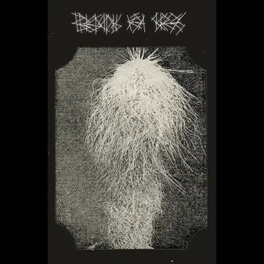 Briesmonis vēja skrējējs by Svēte - album cover