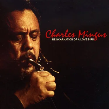 Reincarnation of a Love Bird