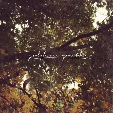 Quiet Frame; Wild Light by Golden Youth - album cover