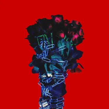 Thorns by Indigo - album cover