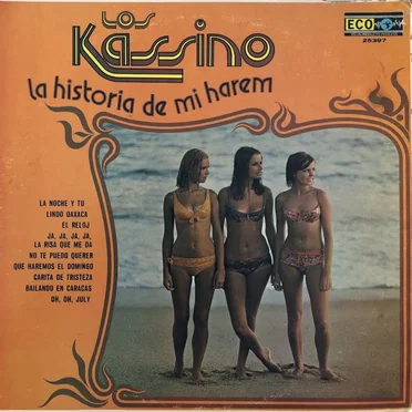 La historia de mi harem