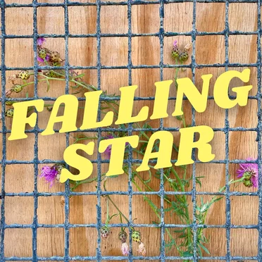 Falling Star