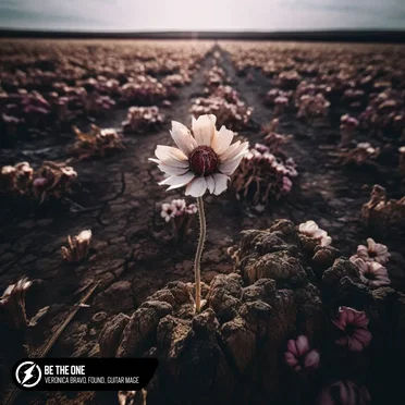 Be the One (acoustic)